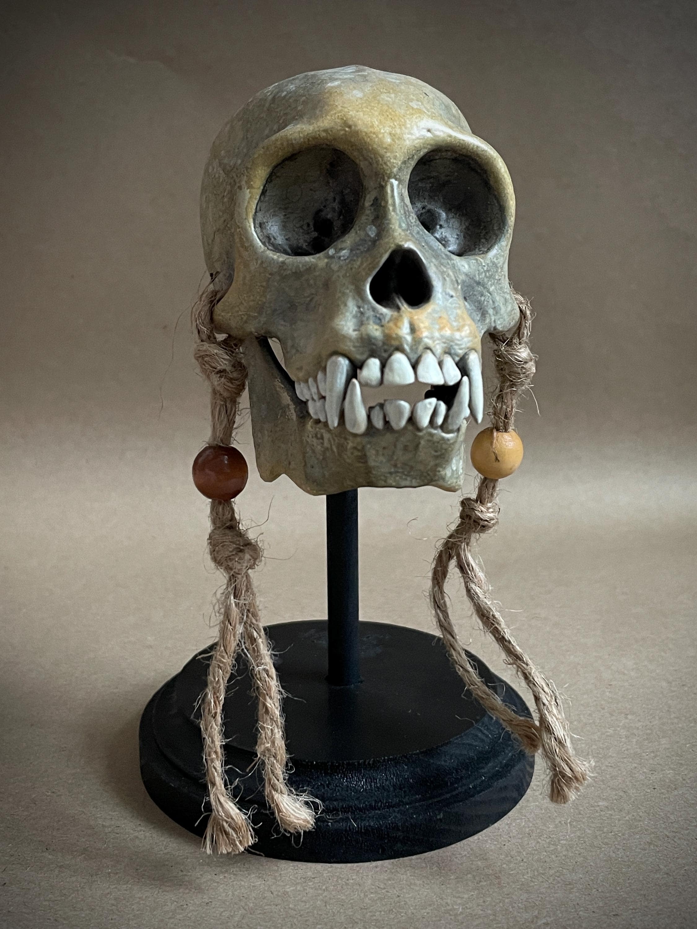 Capuchin Monkey Skull Replica with Display Stand