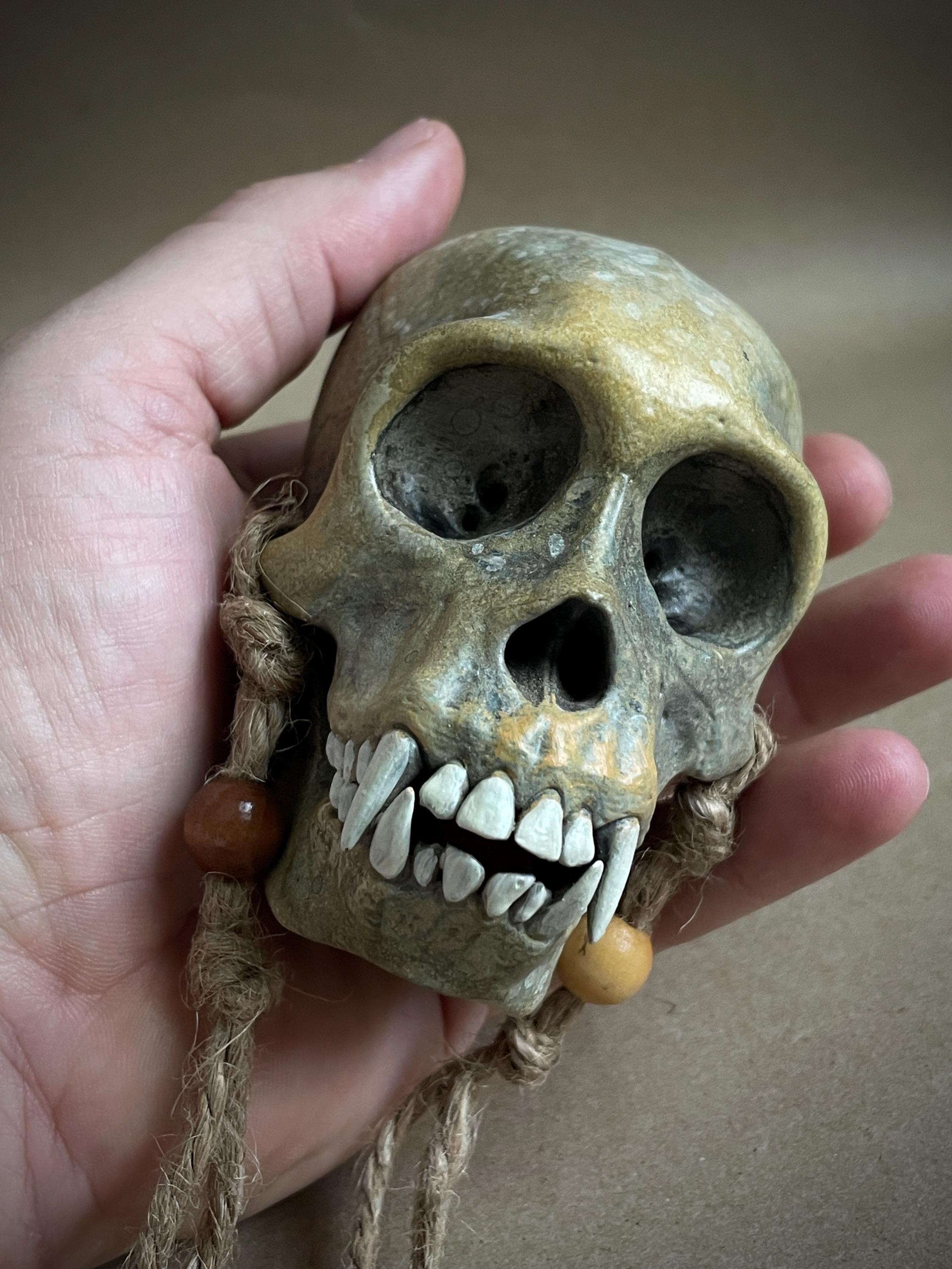 Capuchin Monkey Skull Replica with Display Stand