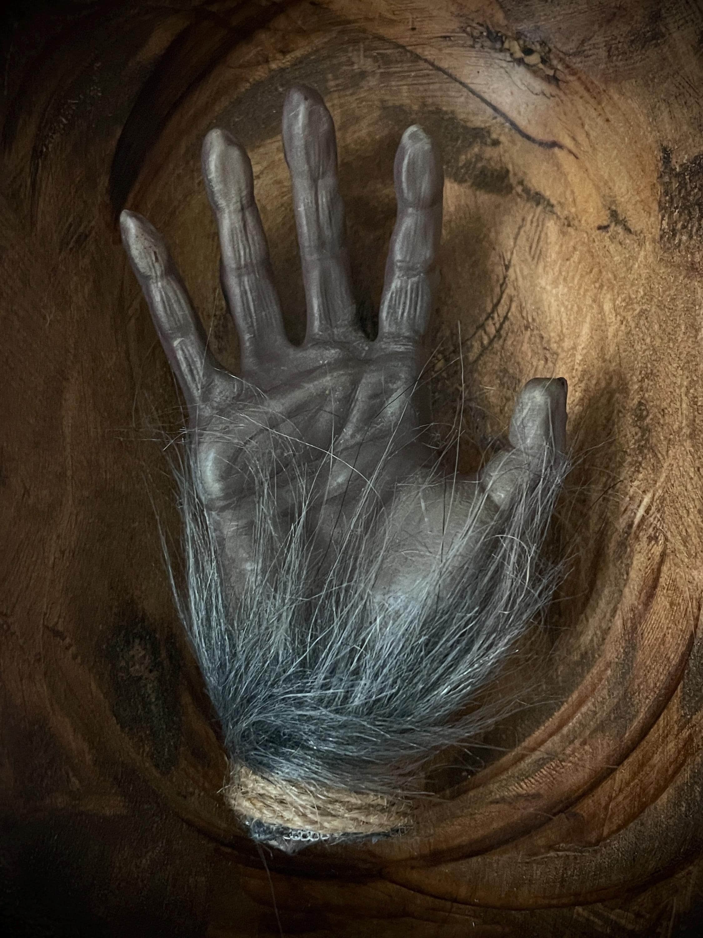 The Monkey’s Paw – Cursed Artifact Prop Replica