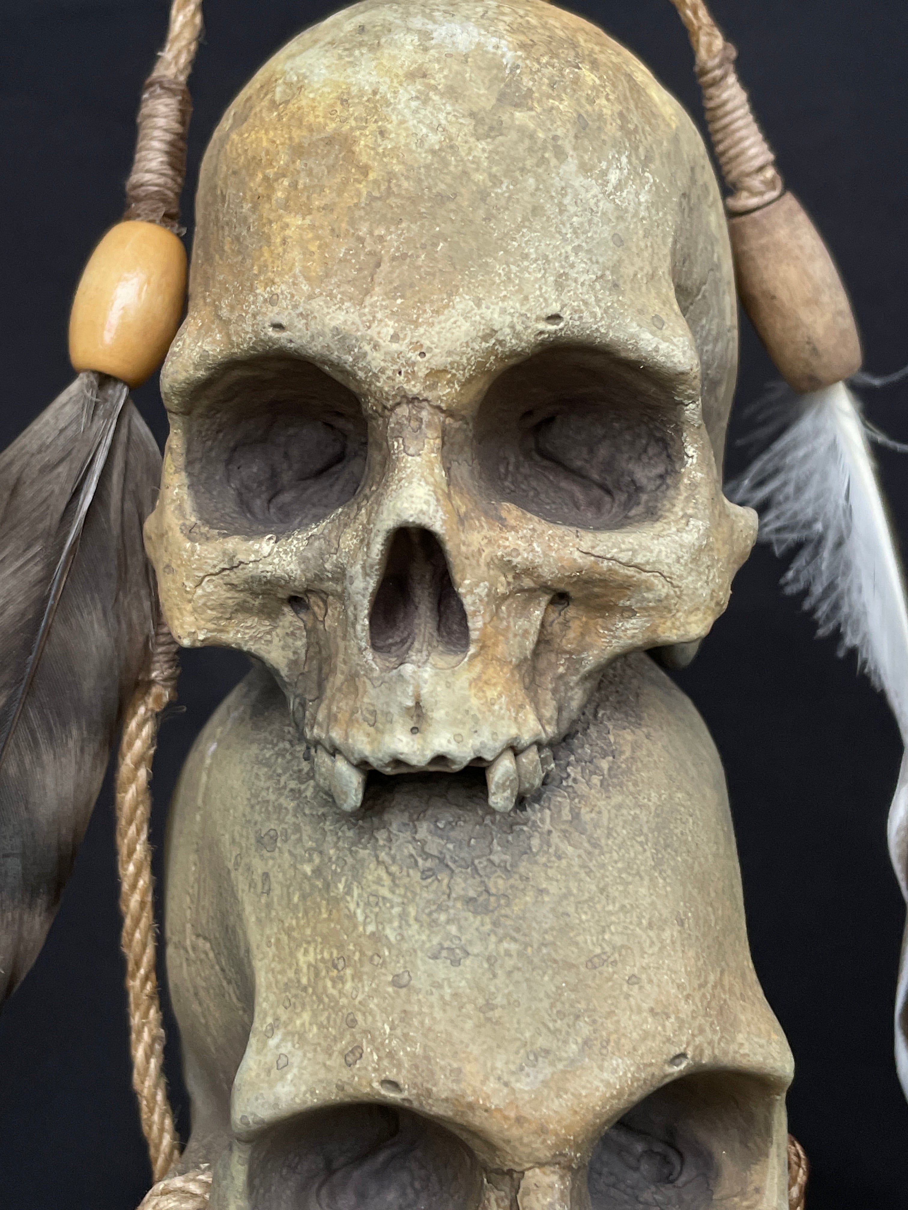 Headhunter Trophy Stacked Skulls Replica 1/2 Scale