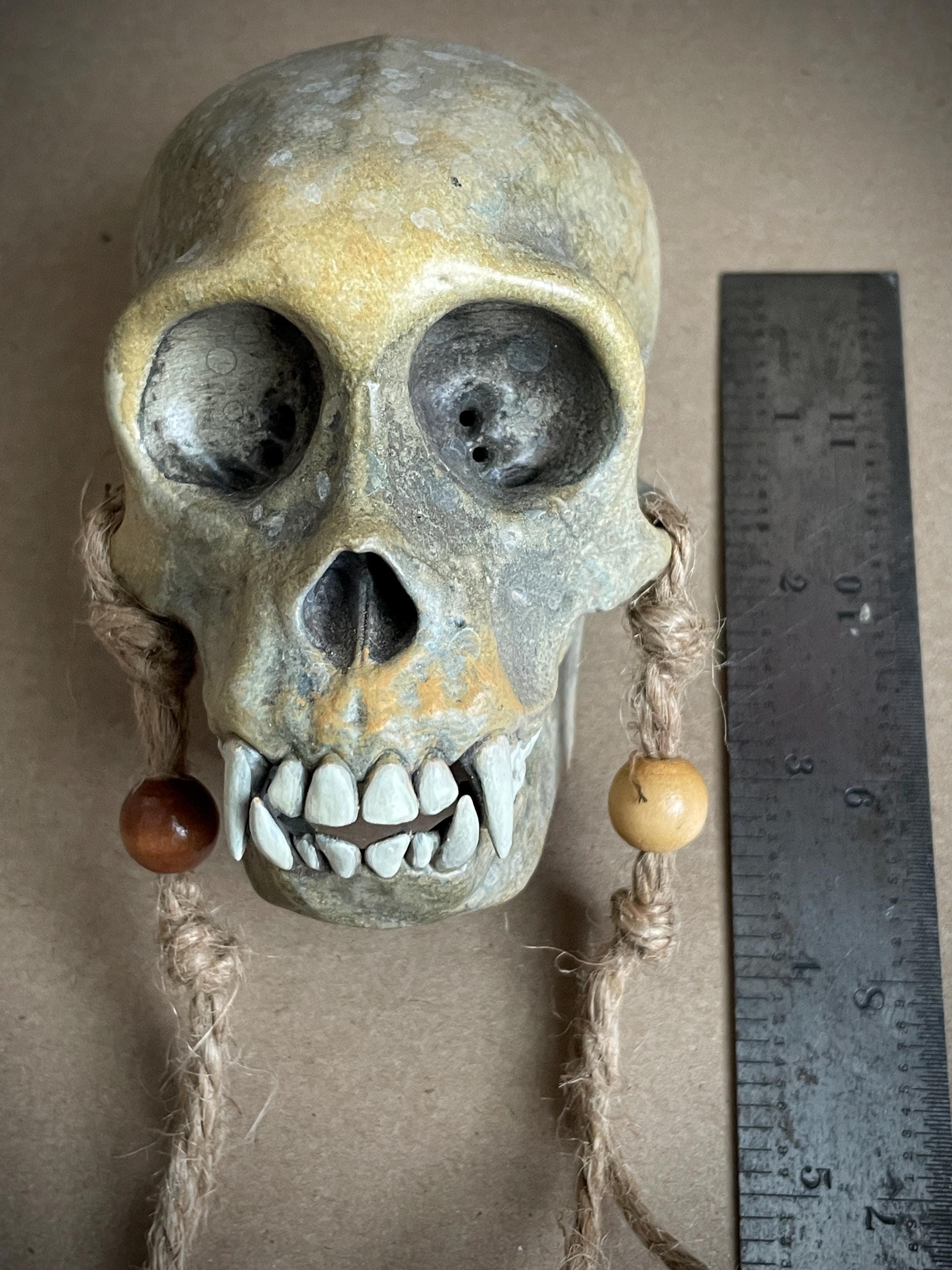 Capuchin Monkey Skull Replica with Display Stand