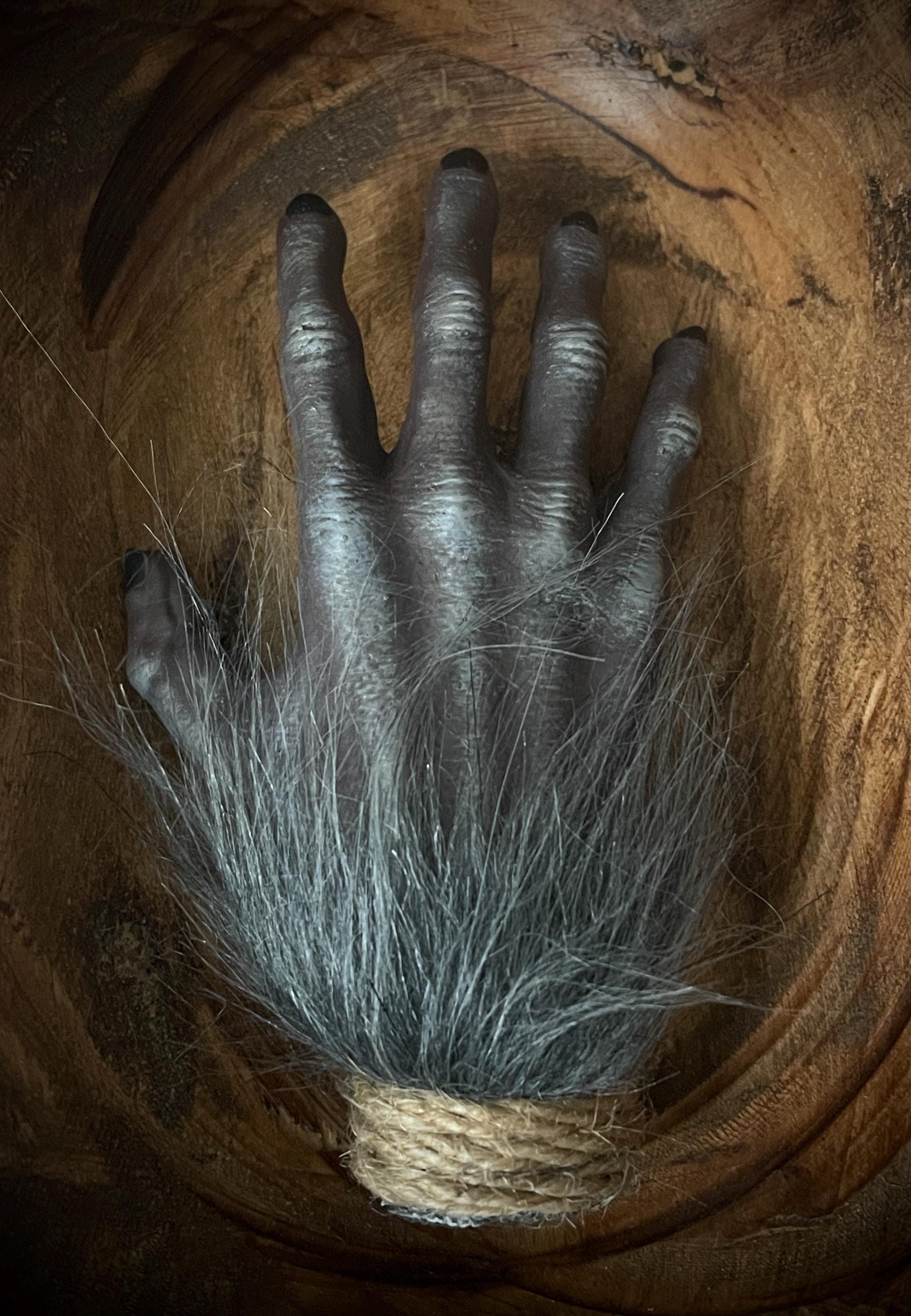 The Monkey’s Paw – Cursed Artifact Prop Replica