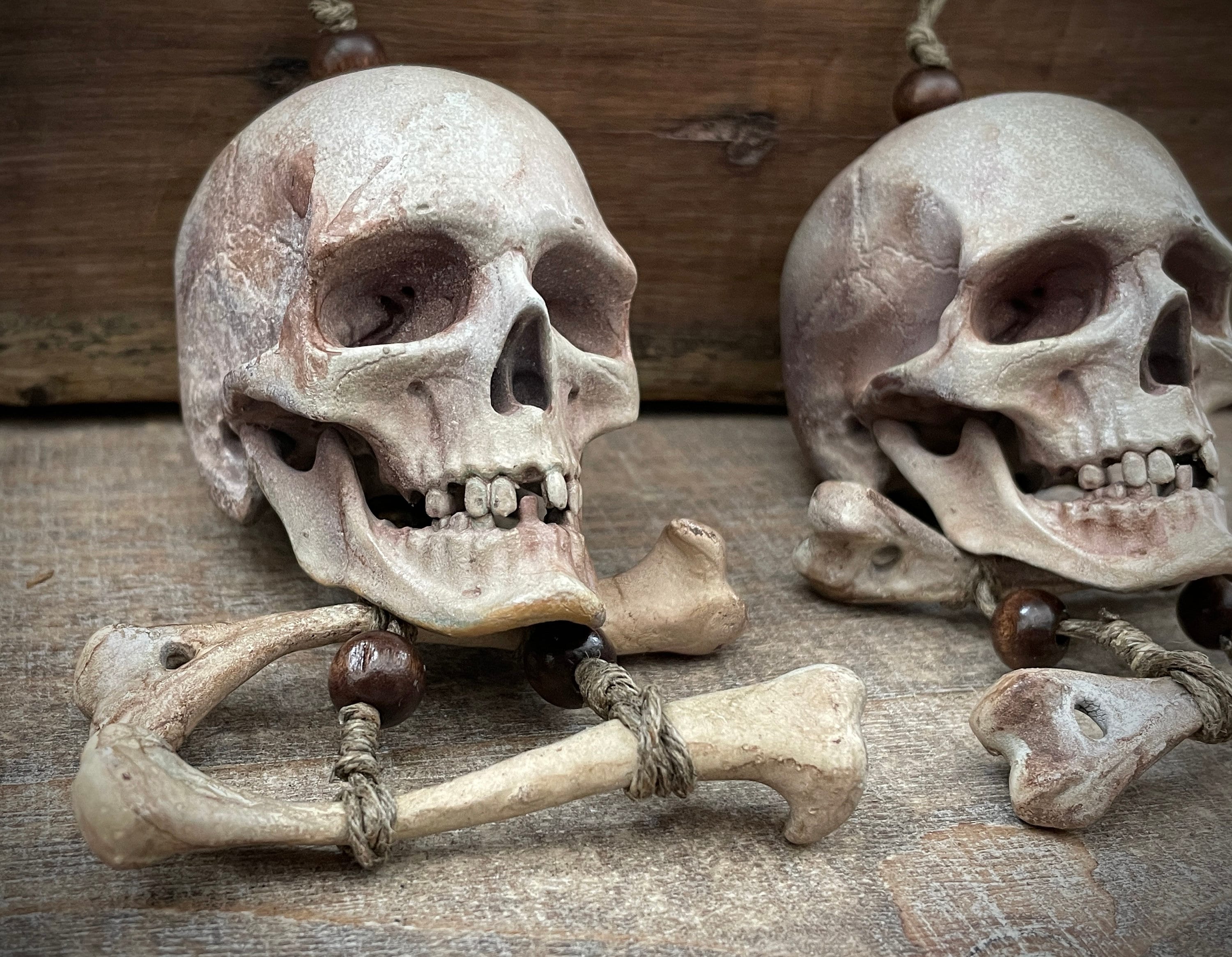 Jolly Roger Skull and Bones Hanging Ornament